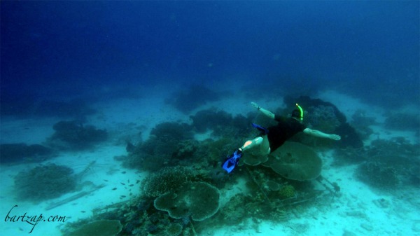 freediving-di-tanjung-karang-donggala